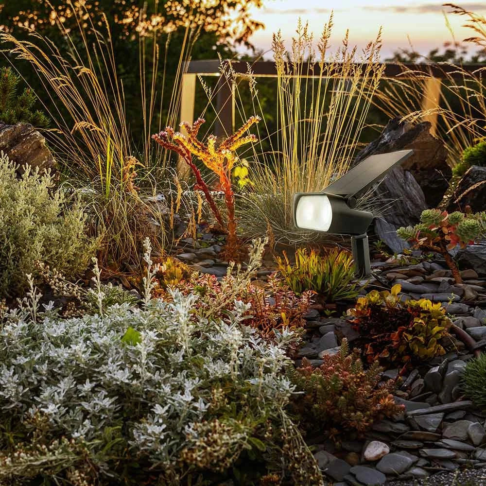 Lumière Solaire Jardin LED – Projecteur Extérieur Étanche Design